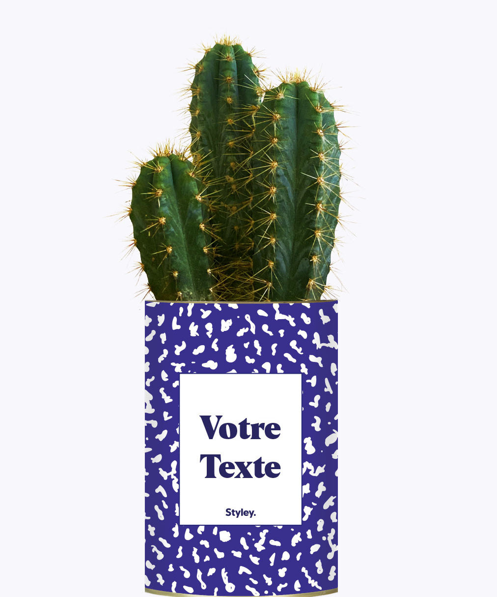 Cactus moucheté - Personnalisable