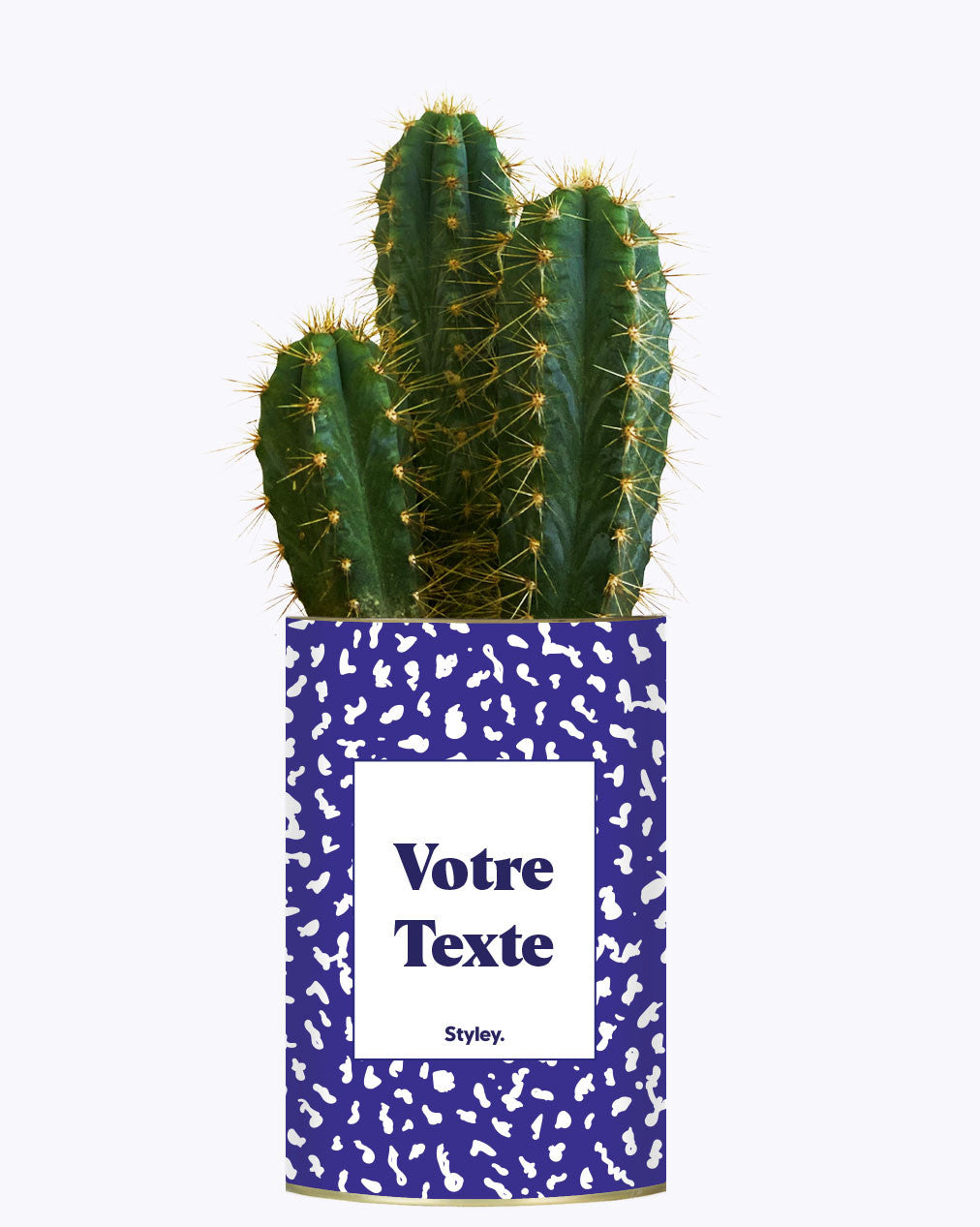 Cactus moucheté - Personnalisable