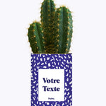 Cactus moucheté - Personnalisable