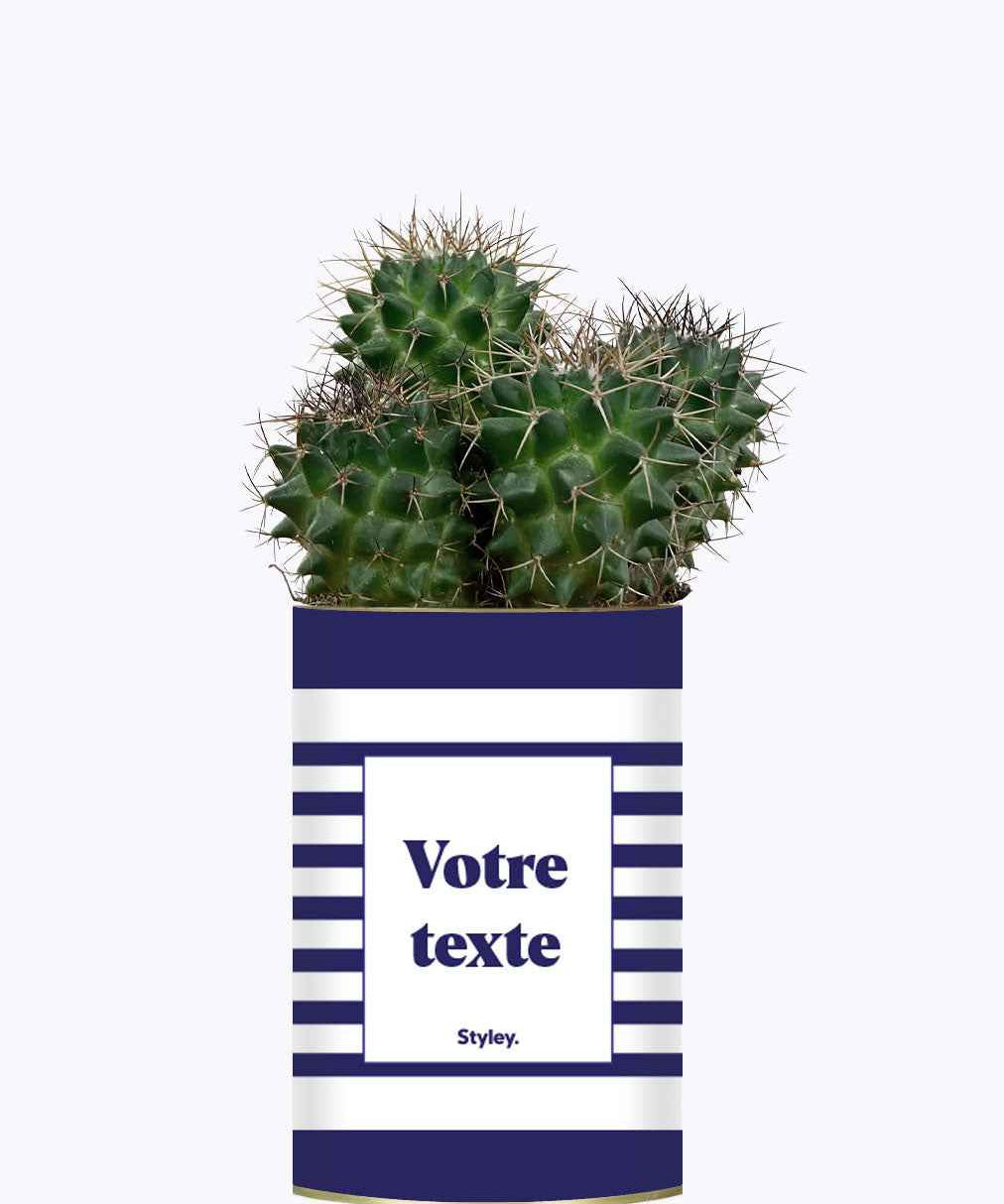 Cactus Marin - Personnalisable