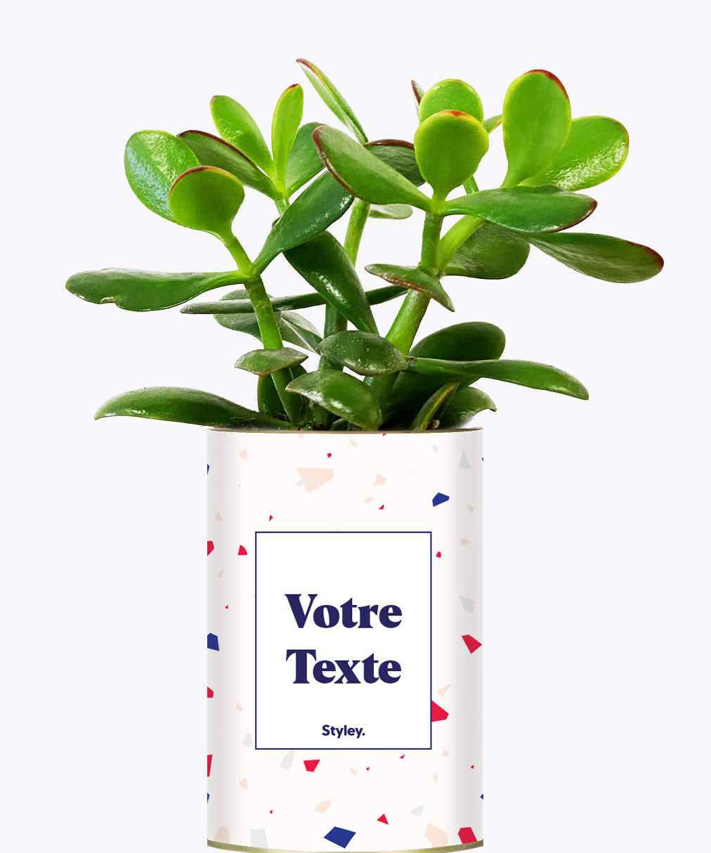 Cactus Terrazzo - Personnalisable