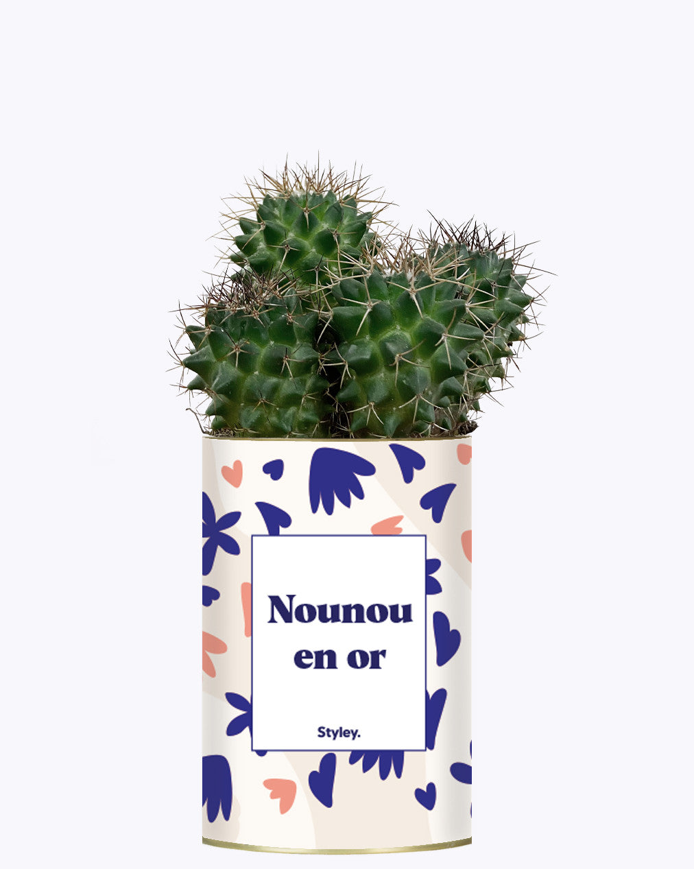 Nounou en or - Cactus