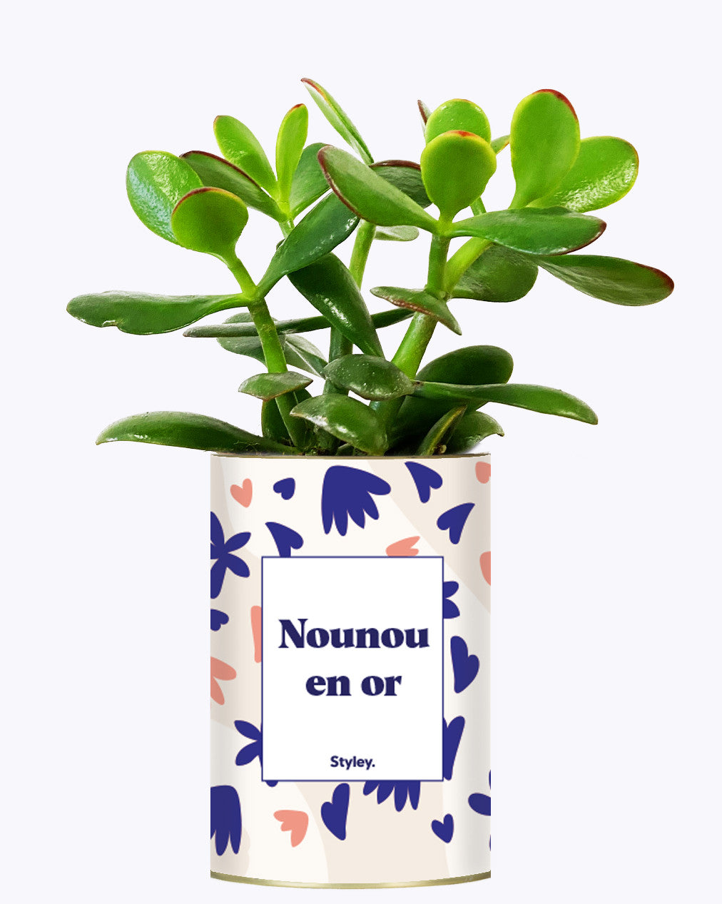 Nounou en or - Cactus