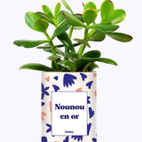 Nounou en or - Cactus