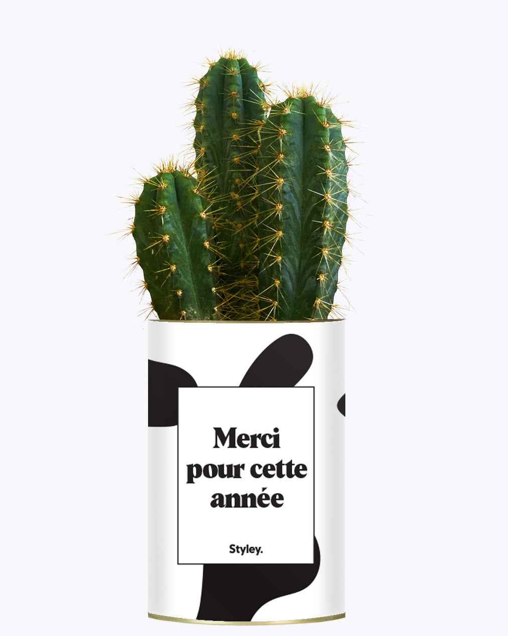 Merci pour cette année - Cactus