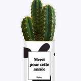 Merci pour cette année - Cactus