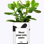 Merci pour cette année - Cactus