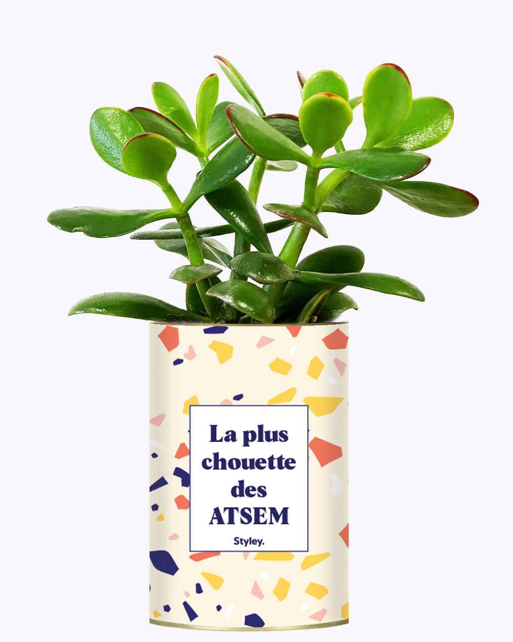 La plus chouette des ATSEM - Cactus