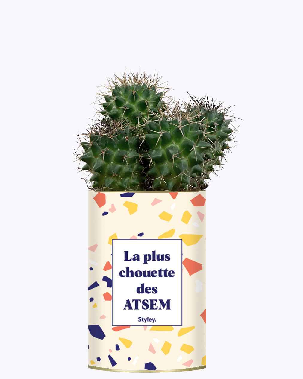 La plus chouette des ATSEM - Cactus