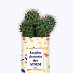 La plus chouette des ATSEM - Cactus