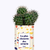 La plus chouette des ATSEM - Cactus