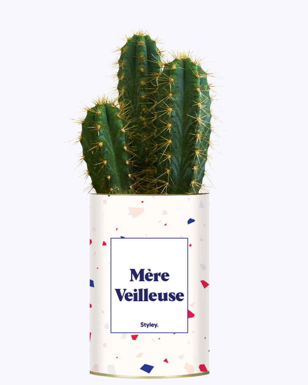 Mère Veilleuse - Cactus