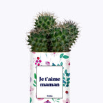 Je t'aime Maman - Cactus