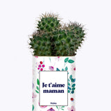 Je t'aime Maman - Cactus