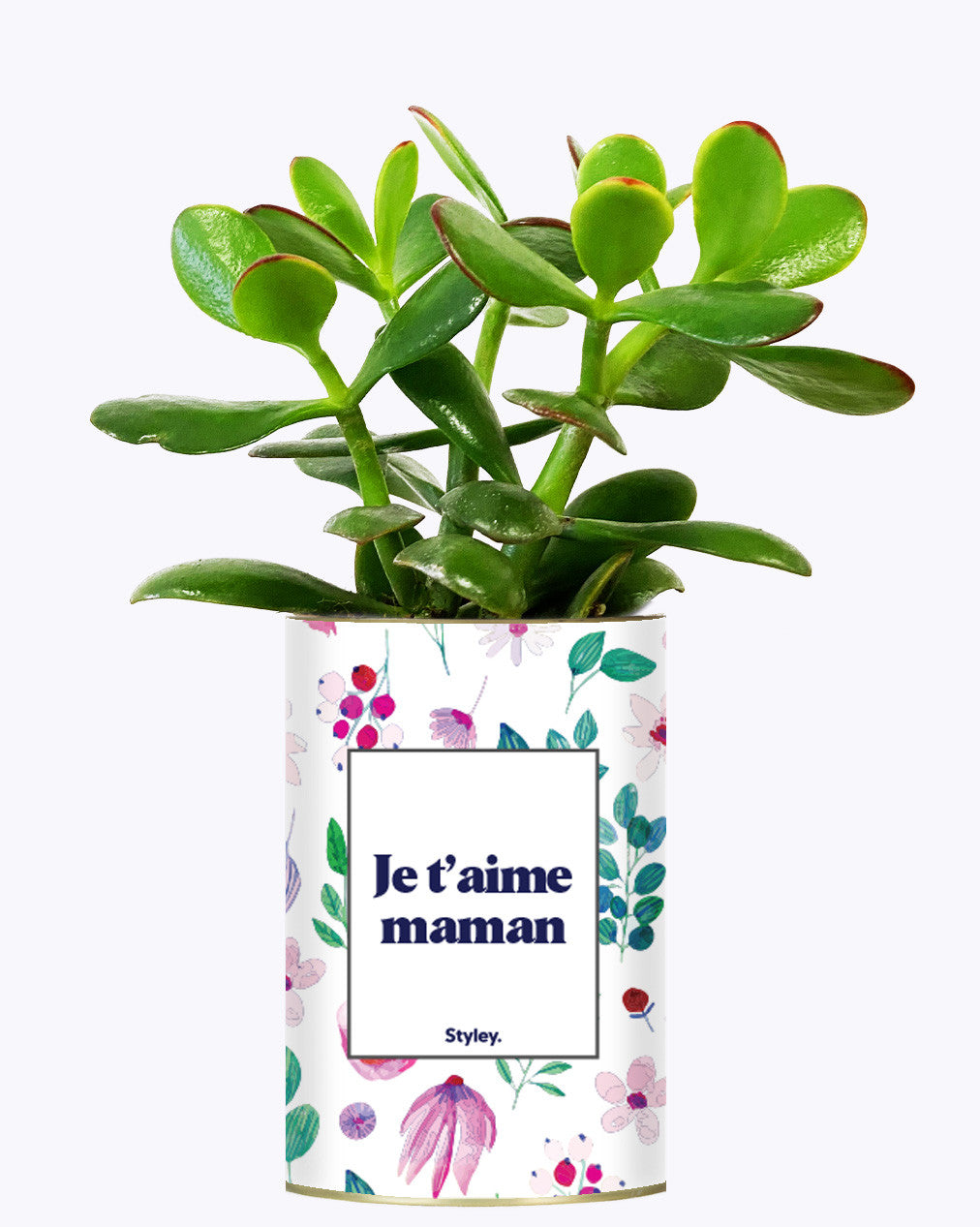 Je t'aime Maman - Cactus