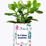 Je t'aime Maman - Cactus