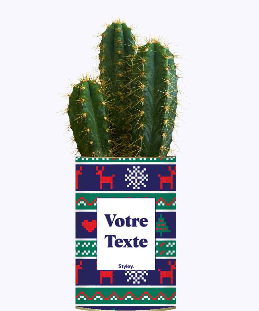 Plante de Noël Personnalisable - Cactus