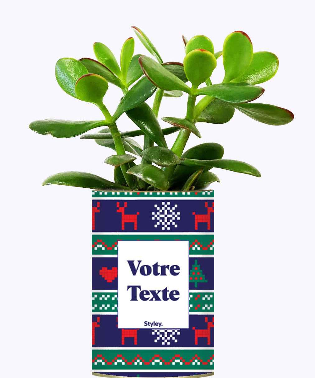 Plante de Noël Personnalisable - Cactus