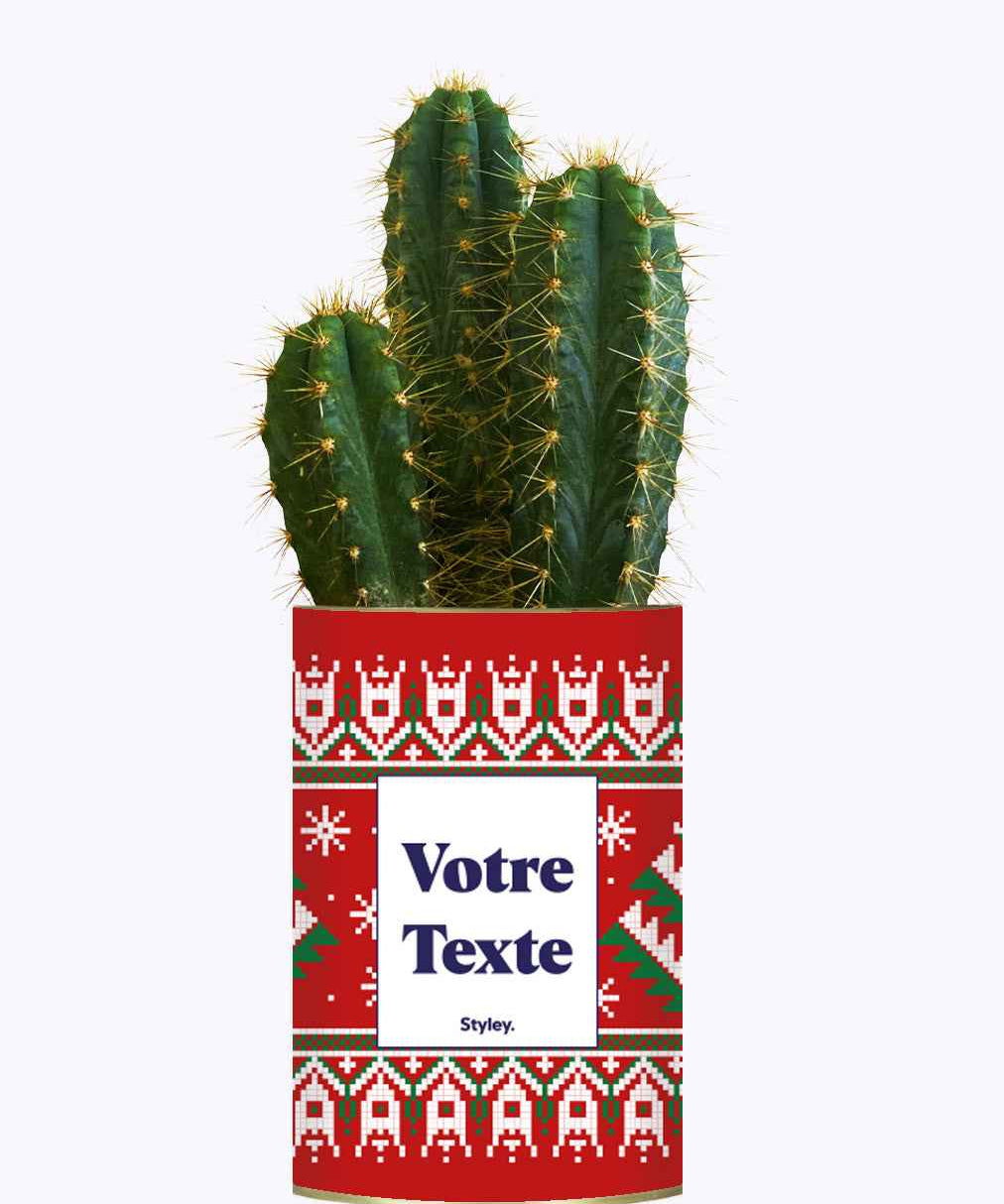 Mon cactus moche de Noël personnalisable - Cactus