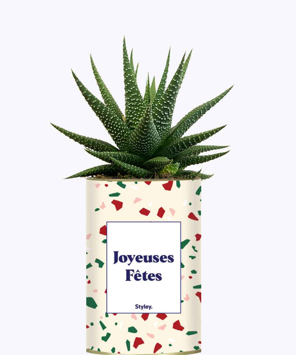 Joyeuses Fêtes - Cactus