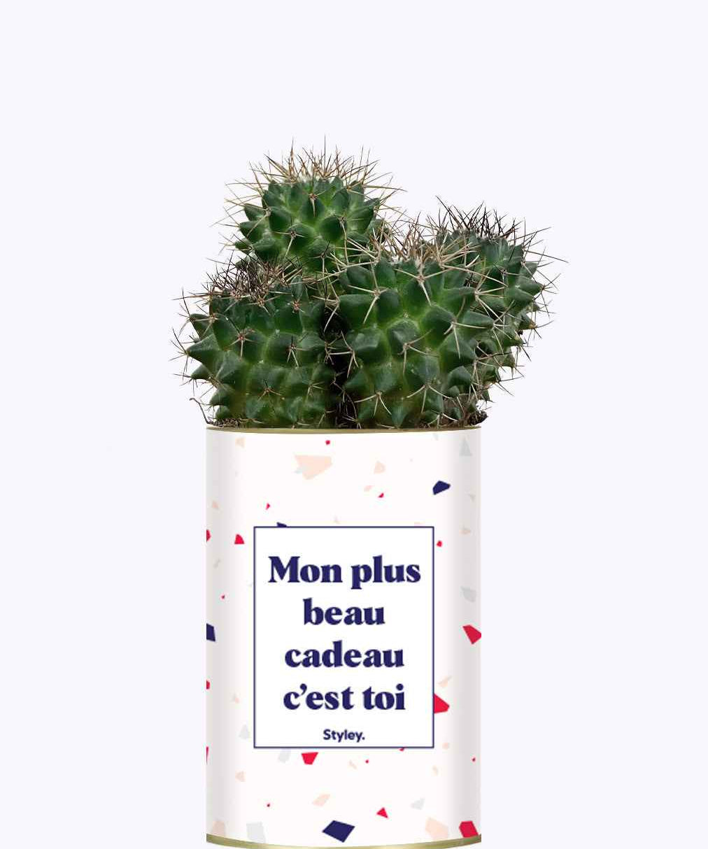 Mon plus beau cadeau c'est toi - Cactus