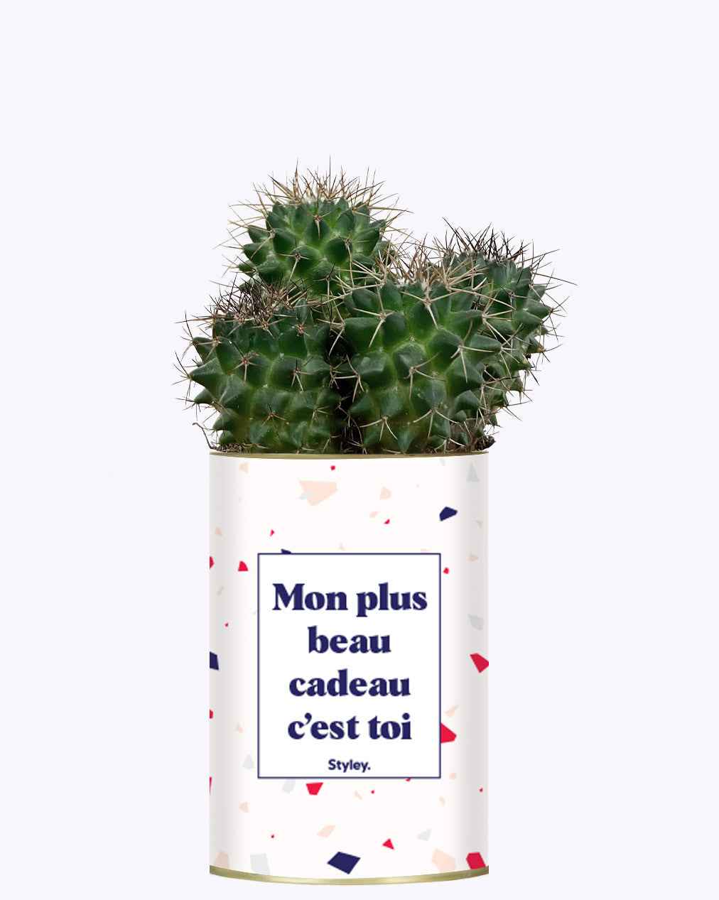 Mon plus beau cadeau c'est toi - Cactus