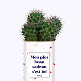 Mon plus beau cadeau c'est toi - Cactus