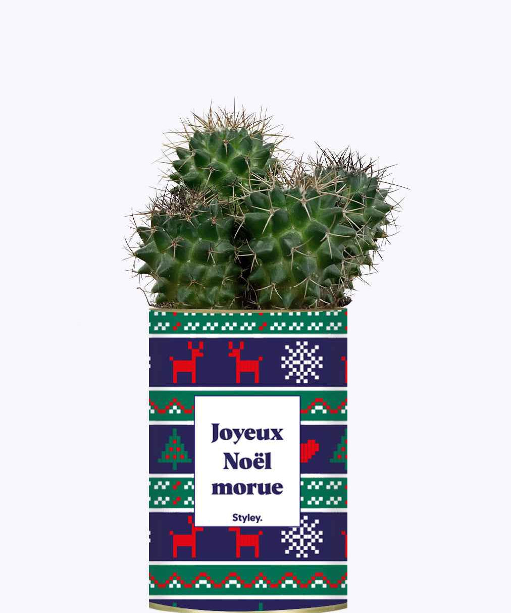 Joyeux Noël Morue - Cactus