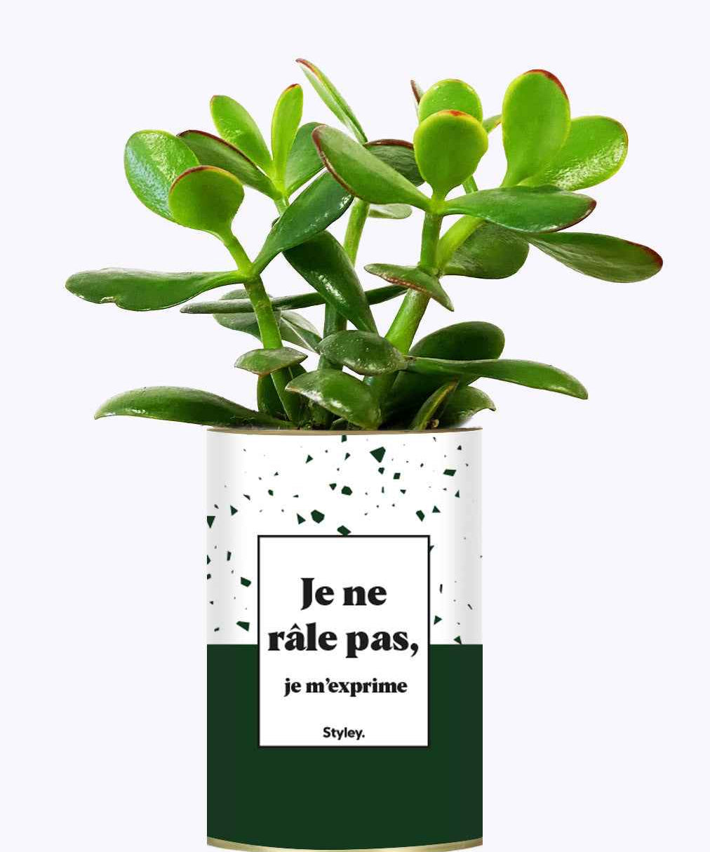 Je ne râle pas - Cactus