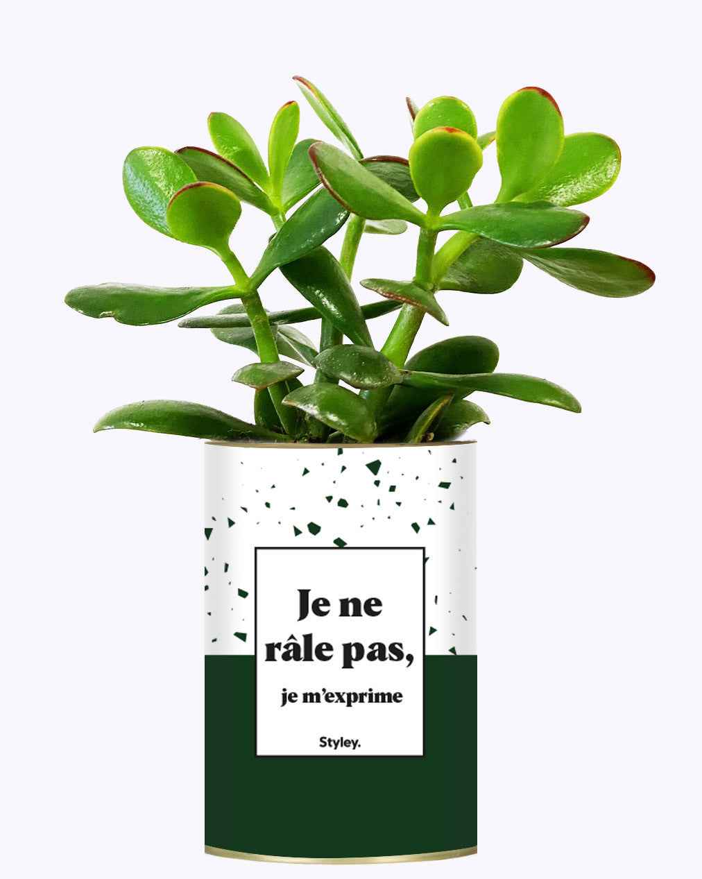 Je ne râle pas - Cactus