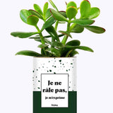 Je ne râle pas - Cactus