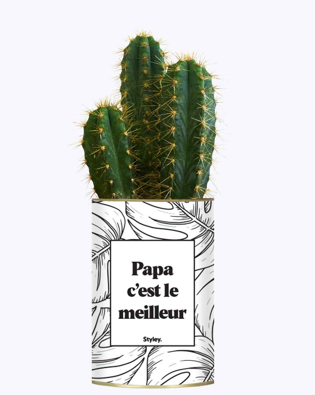 Papa c'est le meilleur - Cactus
