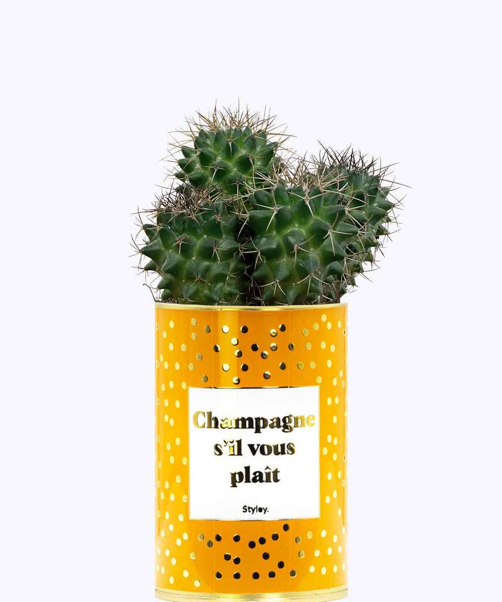 Champagne s'il vous plaît - Cactus - Finitions gold