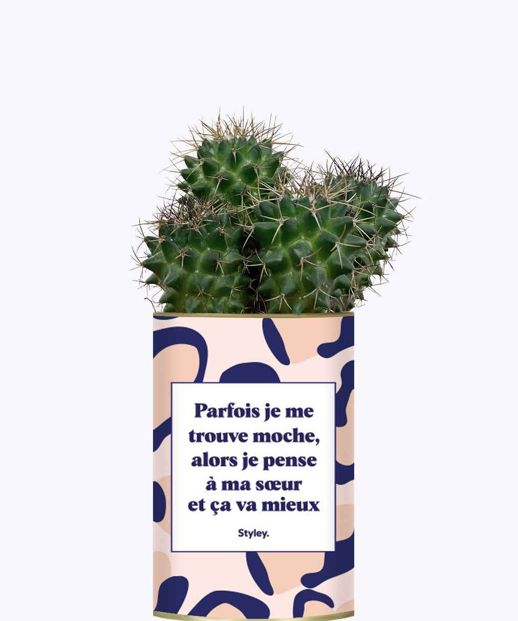 Soeur Moche - Cactus