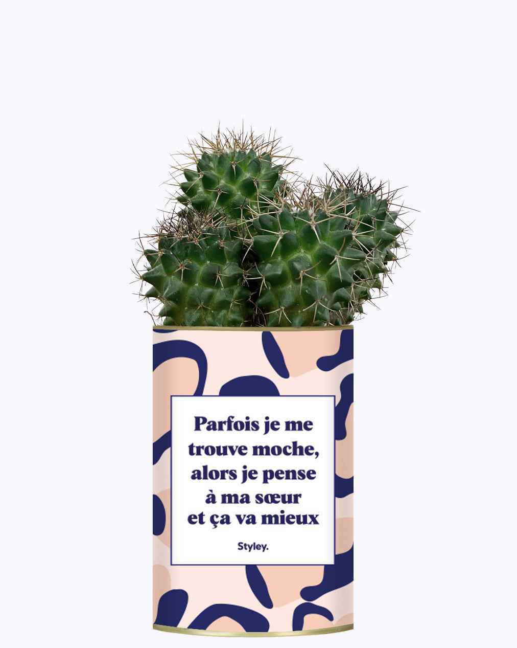Soeur Moche - Cactus