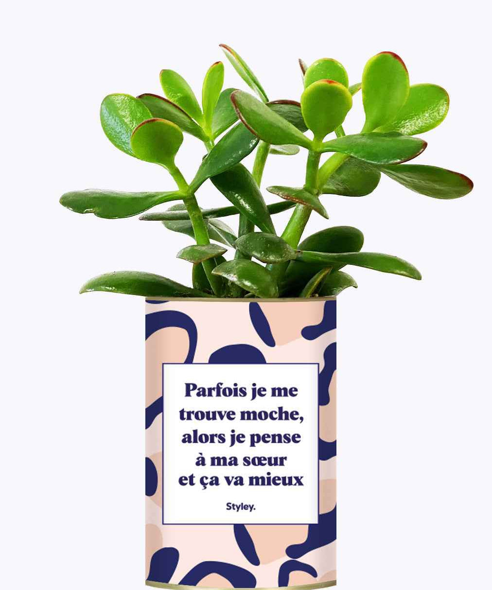 Soeur Moche - Cactus
