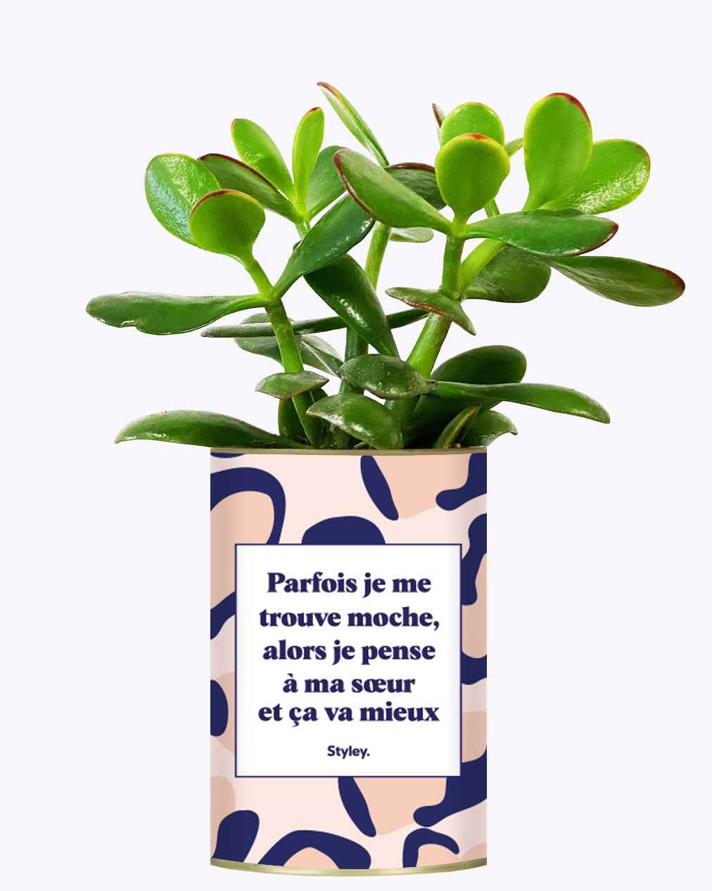 Soeur Moche - Cactus