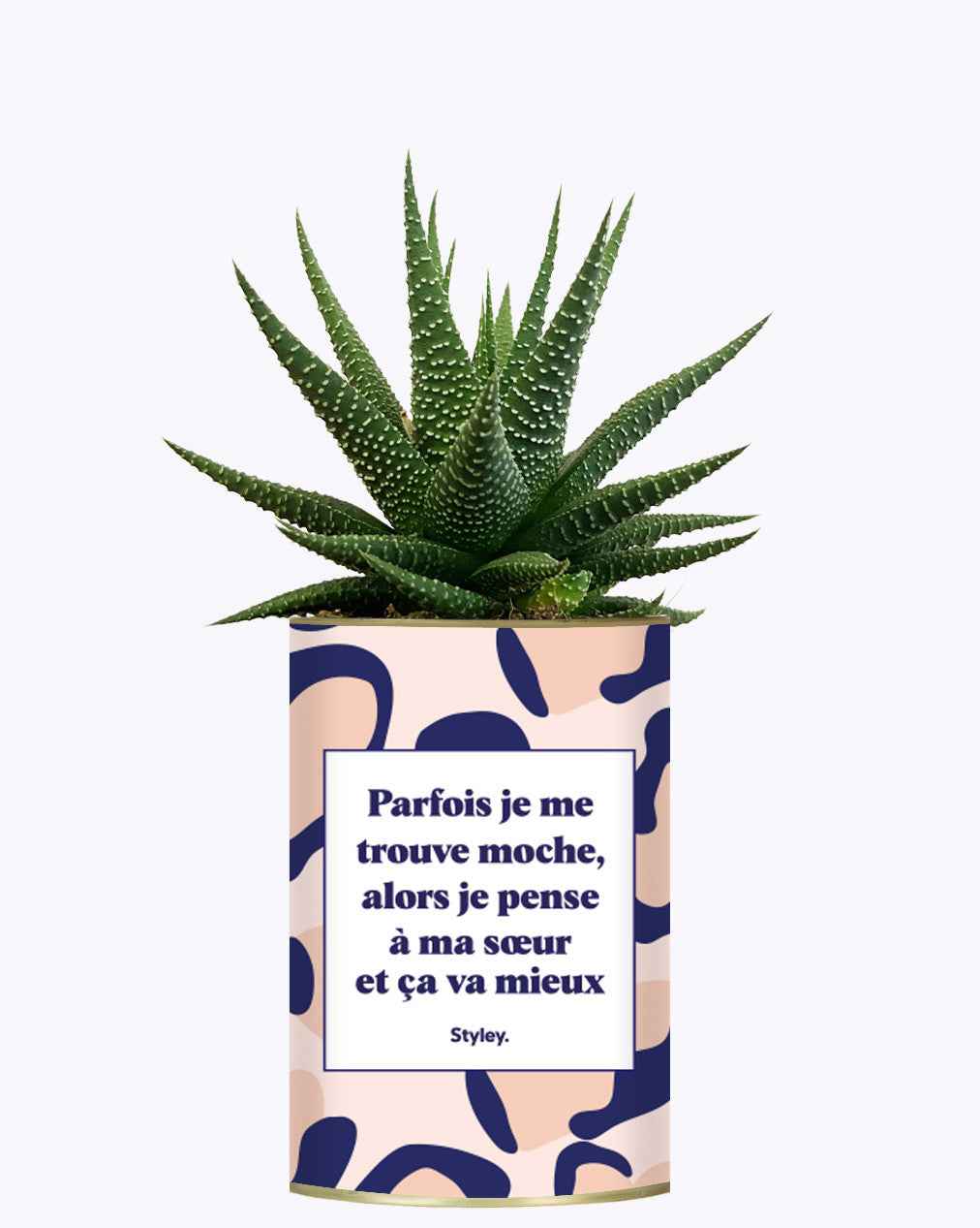 Soeur Moche - Cactus