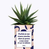Soeur Moche - Cactus