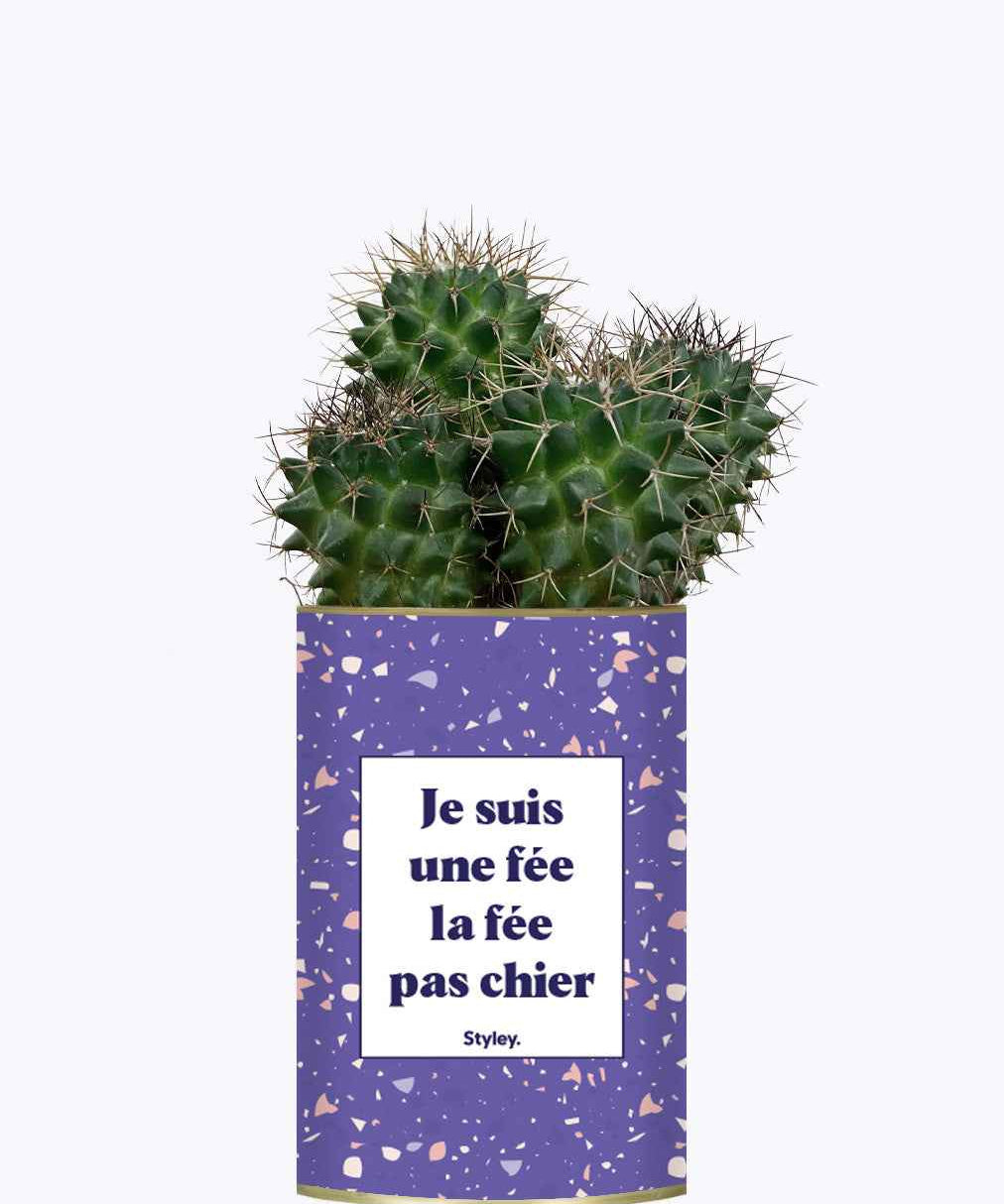 Je suis une fée la fée pas chier - Cactus