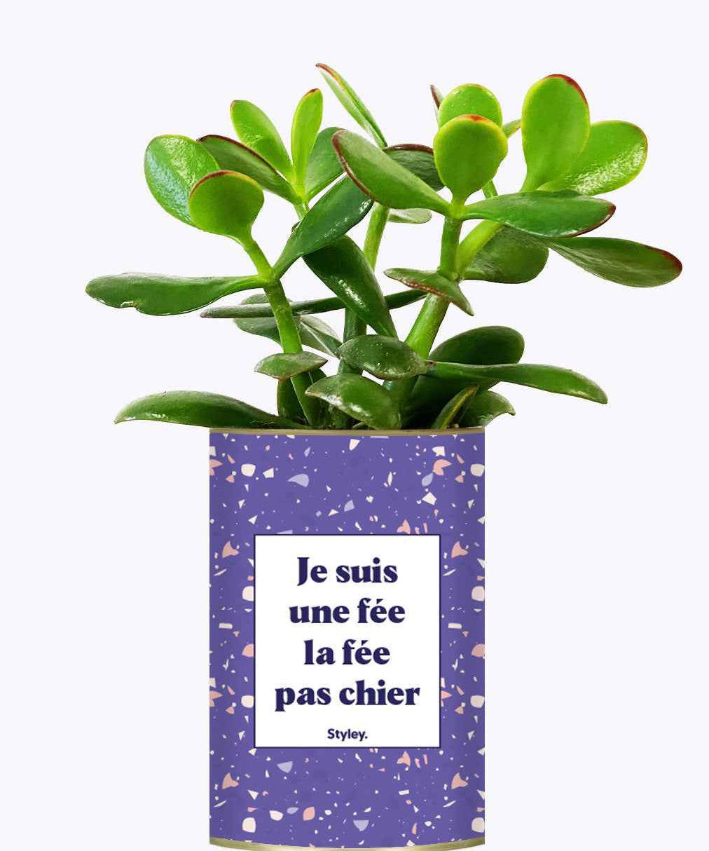 Je suis une fée la fée pas chier - Cactus