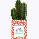 Avec la pièce jointe - Cactus
