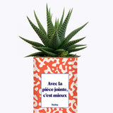 Avec la pièce jointe - Cactus