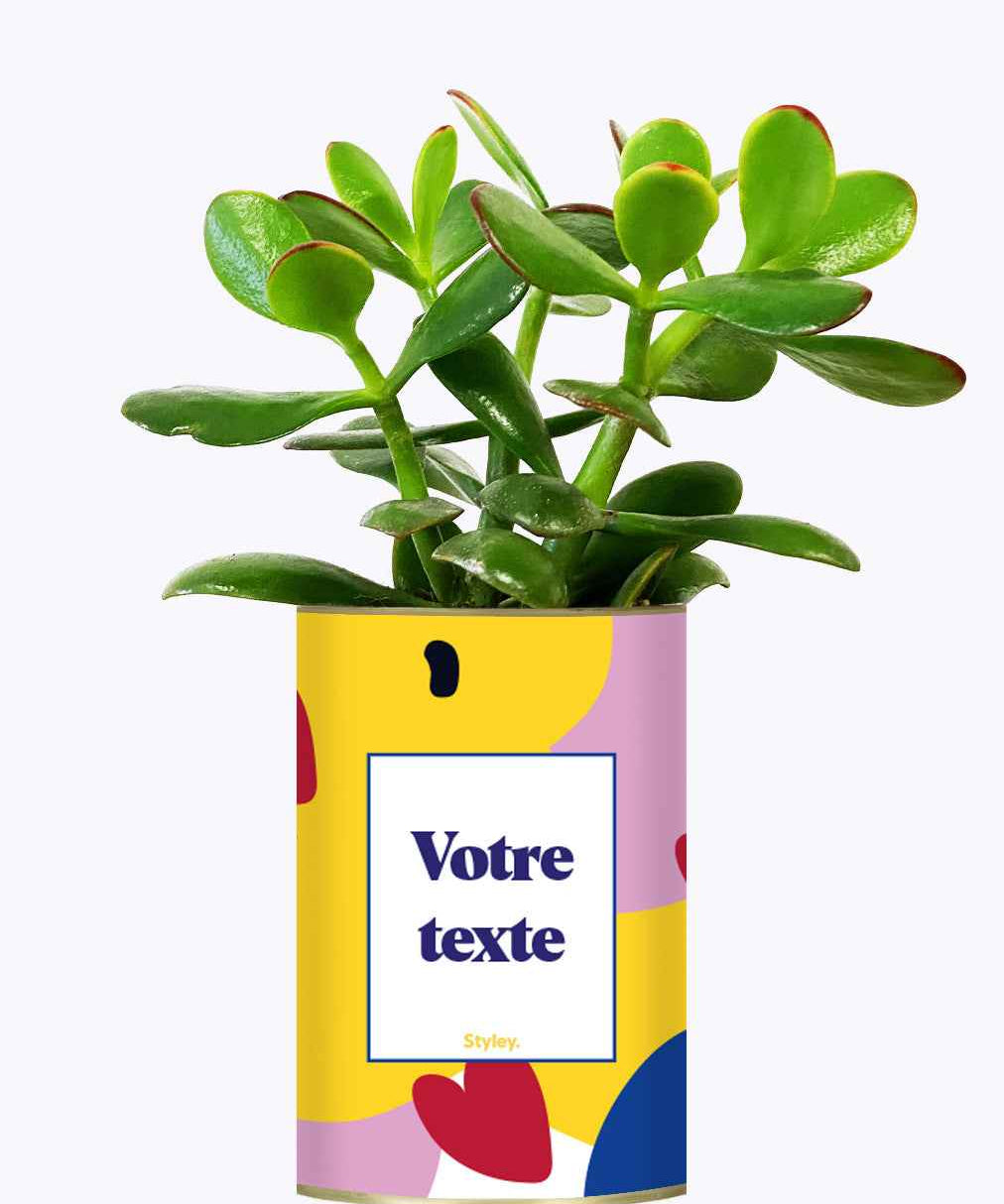 Cactus je t'aime - Personnalisable