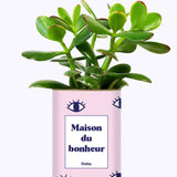 Maison du bonheur - Cactus