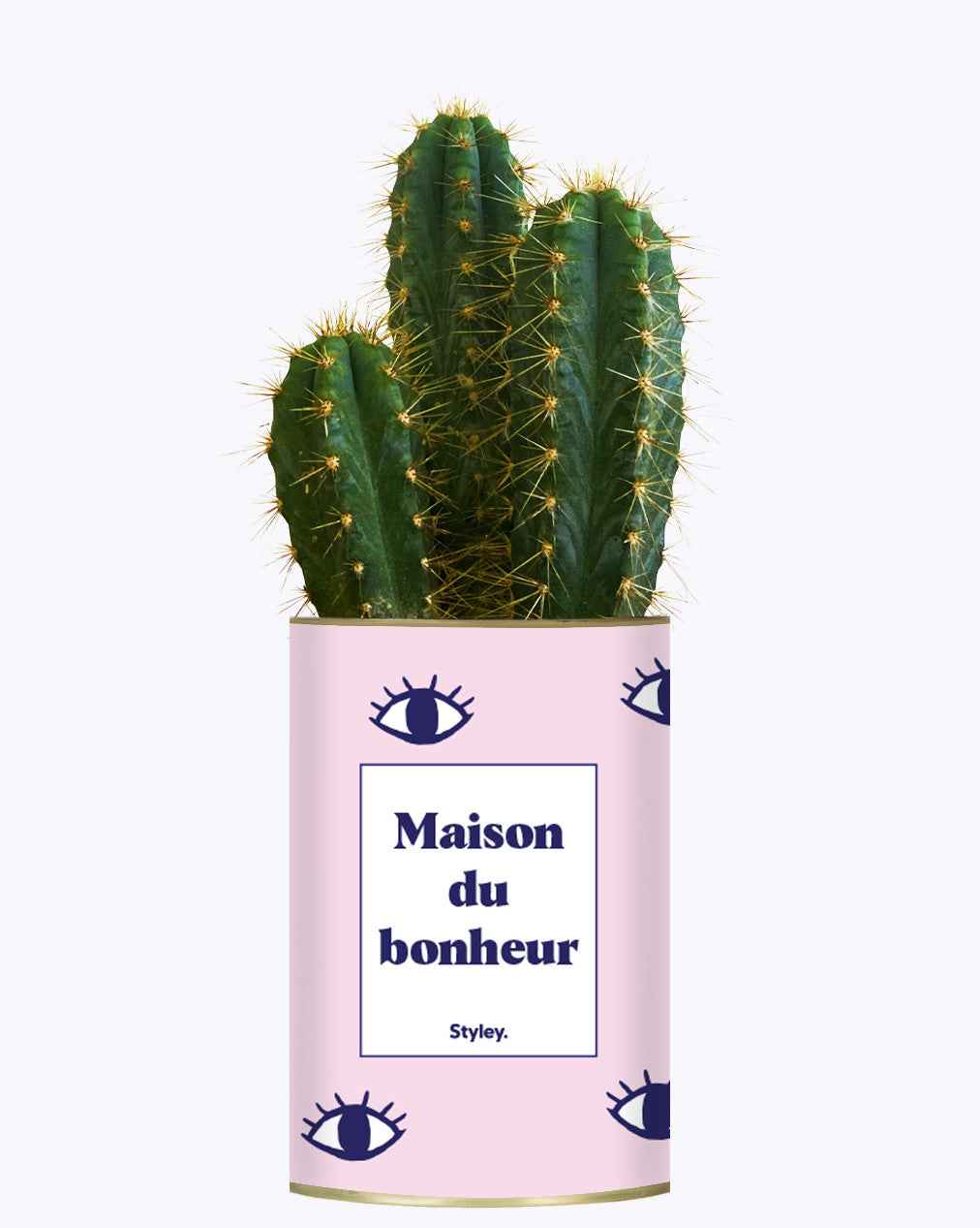 Maison du bonheur - Cactus