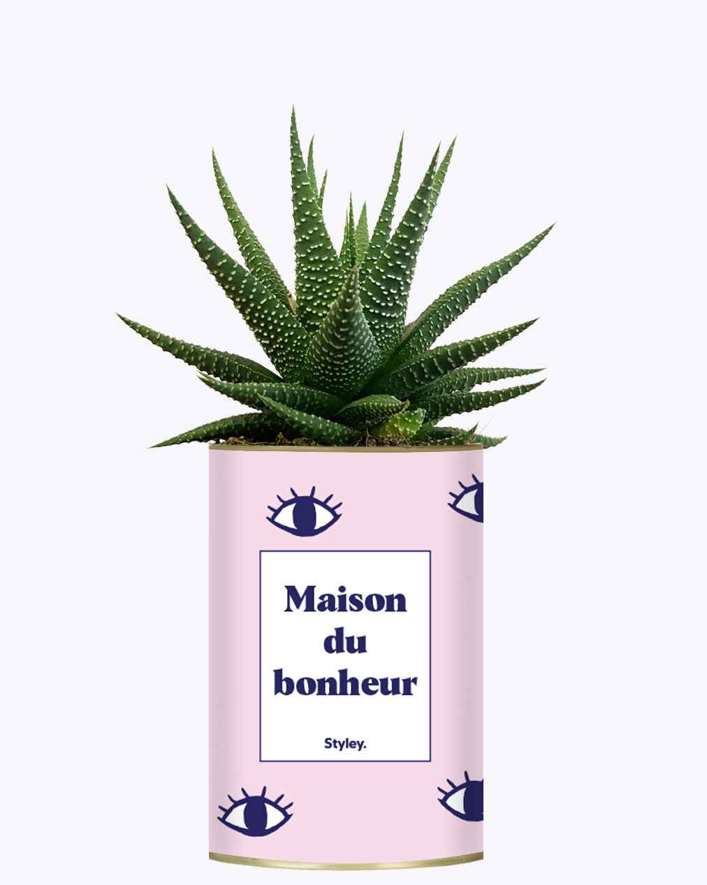 Maison du bonheur - Cactus