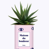 Maison du bonheur - Cactus