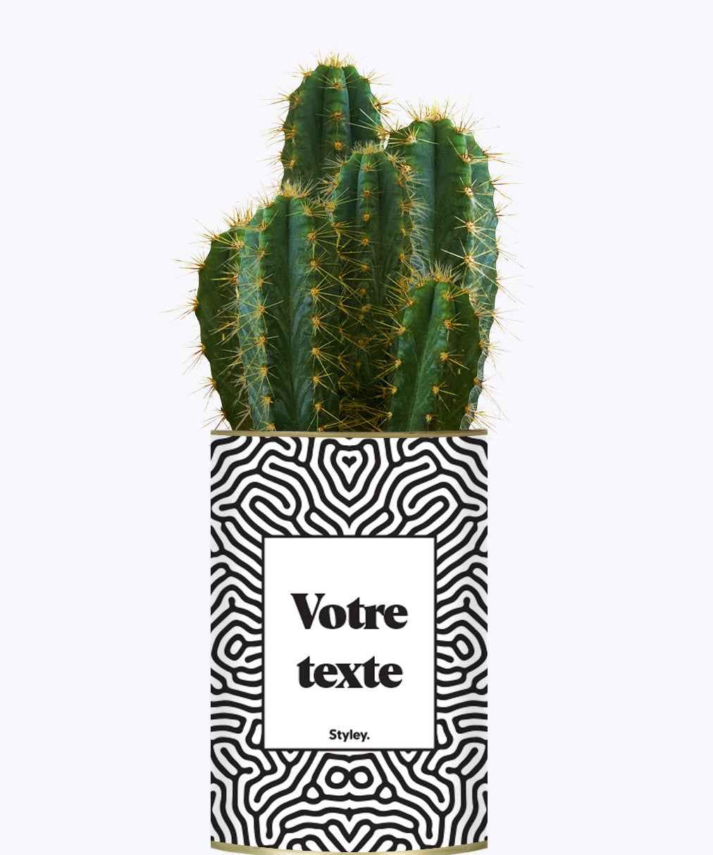 Cactus Nuance - Personnalisable