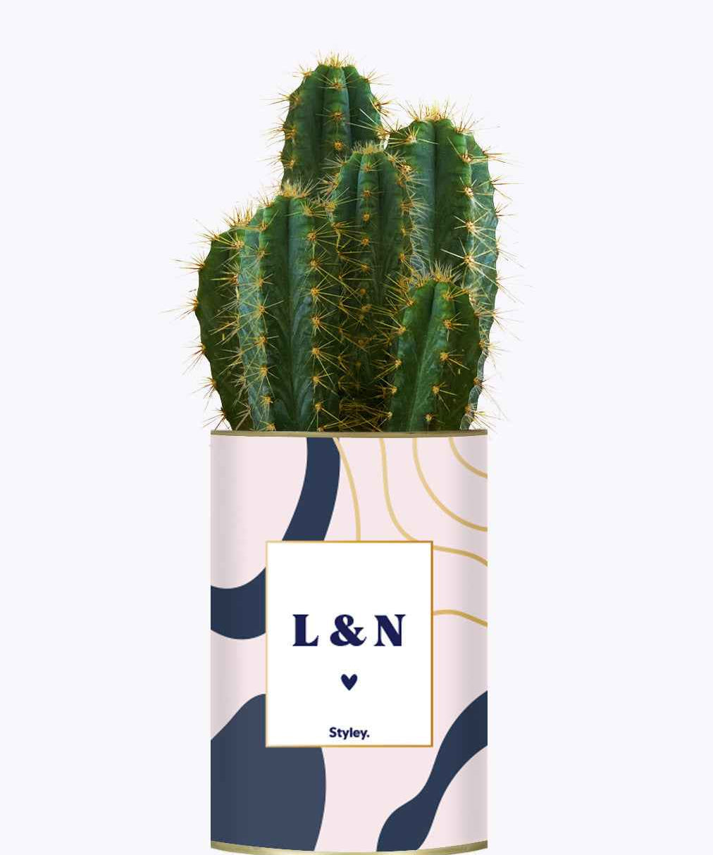 Initiales personnalisables - Cactus